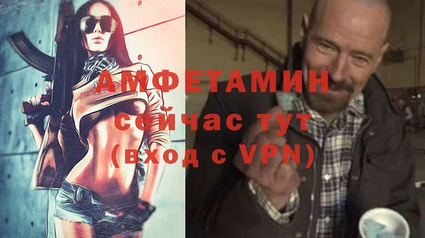 индика Вяземский